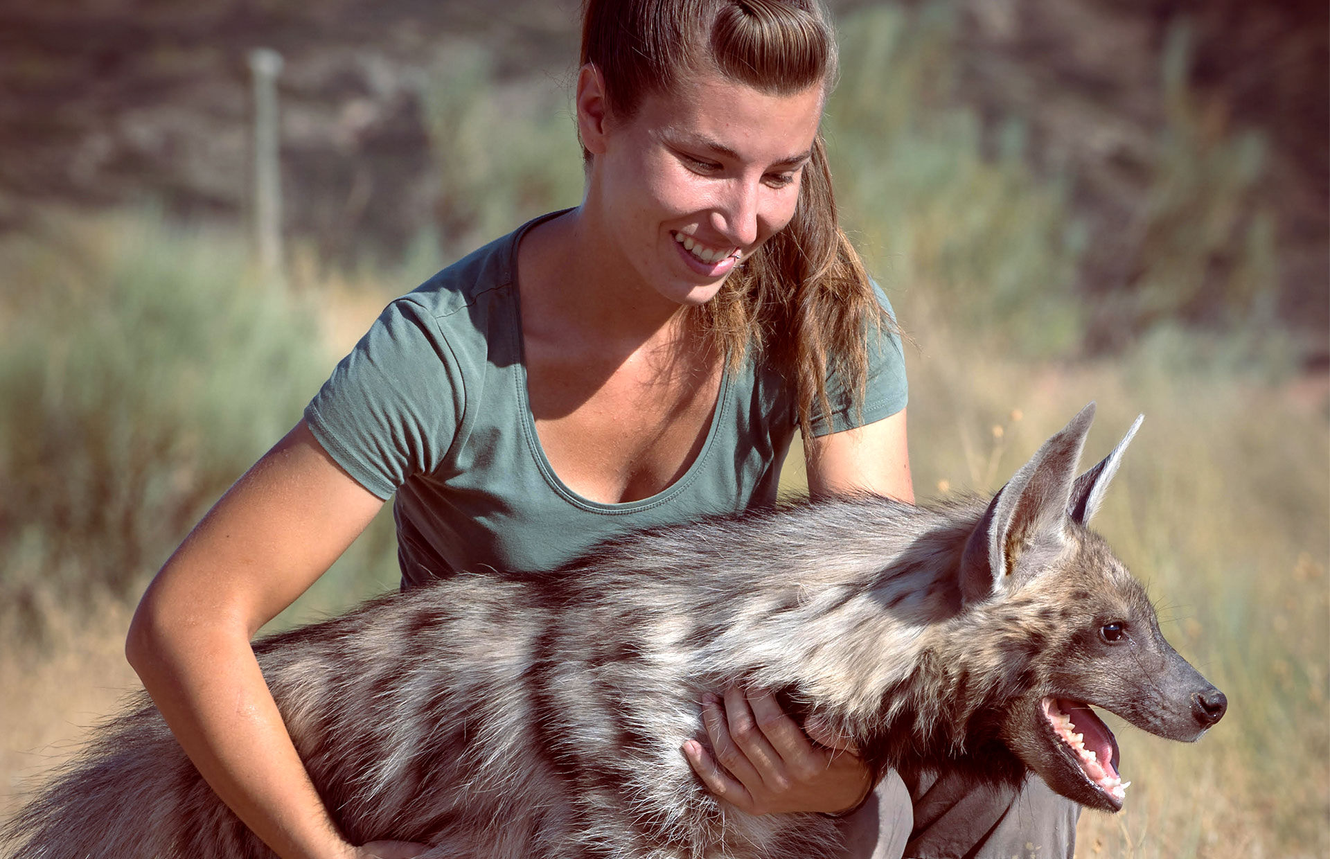 curso oficial de cuidado de animales salvajes